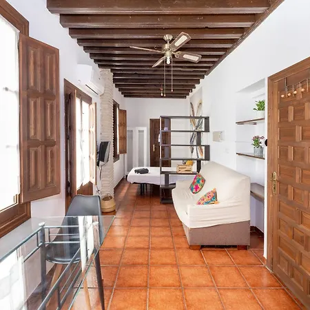 Apartment Alhambra View Nest Granada