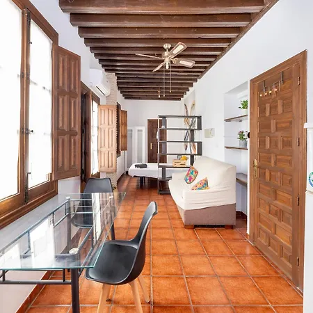 Alhambra View Nest Apartment Granada